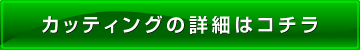 カッティングの詳細を見る